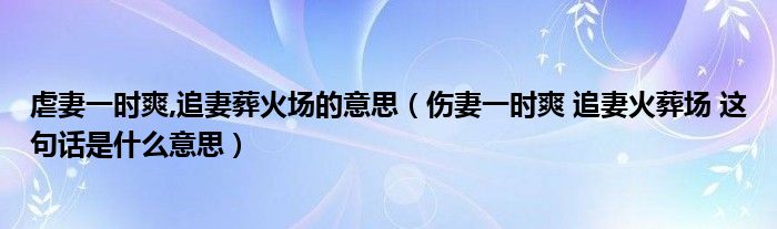 虐妻一时爽,追妻葬火场的意思（伤妻一时爽 追妻火葬场 这句话是什么意思）