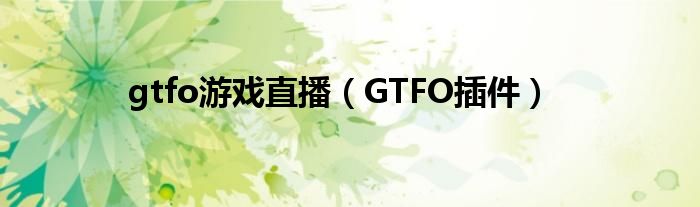 gtfo游戏直播（GTFO插件）