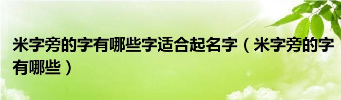 米字旁的字有哪些字适合起名字（米字旁的字有哪些）