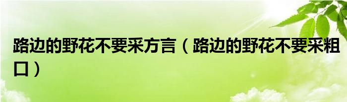 路边的野花不要采方言（路边的野花不要采粗口）