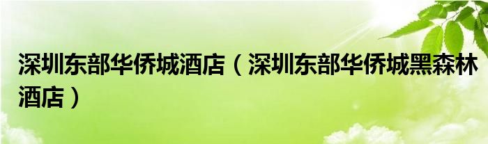 深圳东部华侨城酒店（深圳东部华侨城黑森林酒店）