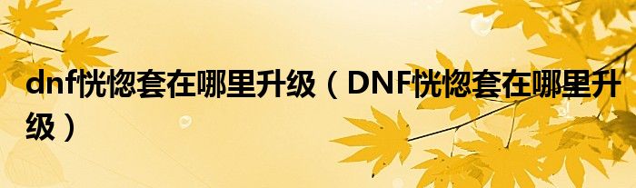 dnf恍惚套在哪里升级（DNF恍惚套在哪里升级）