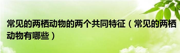 常见的两栖动物的两个共同特征（常见的两栖动物有哪些）