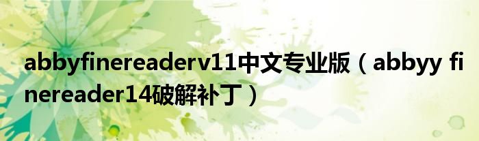 abbyfinereaderv11中文专业版（abbyy finereader14破解补丁）