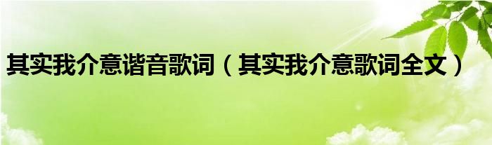 其实我介意谐音歌词（其实我介意歌词全文）