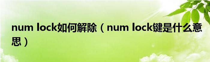 num lock如何解除（num lock键是什么意思）