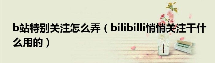 b站特别关注怎么弄（bilibilli悄悄关注干什么用的）