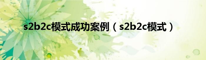 s2b2c模式成功案例（s2b2c模式）