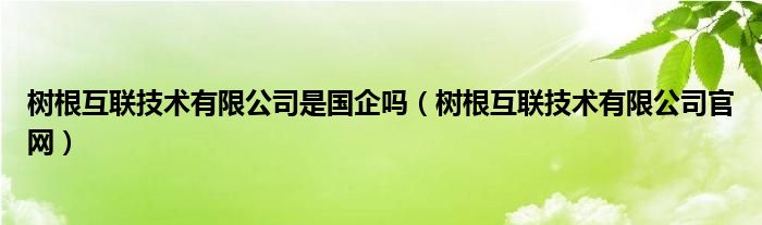 树根互联技术有限公司是国企吗（树根互联技术有限公司官网）