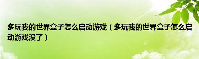 多玩我的世界盒子怎么启动游戏（多玩我的世界盒子怎么启动游戏没了）