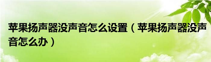 苹果扬声器没声音怎么设置（苹果扬声器没声音怎么办）