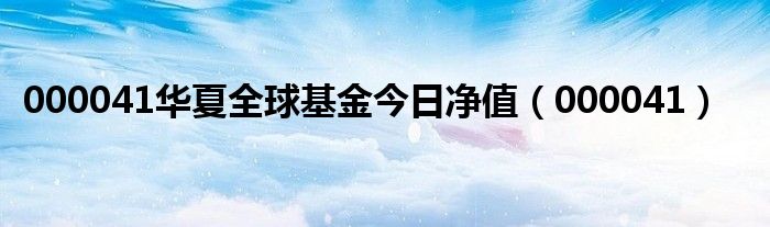 000041华夏全球基金今日净值（000041）