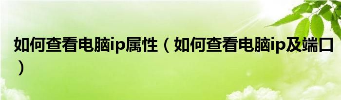 如何查看电脑ip属性（如何查看电脑ip及端口）