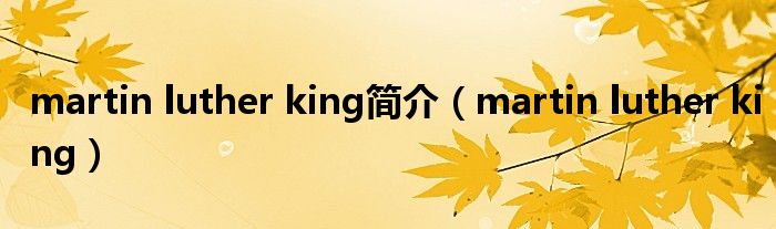 martin luther king简介（martin luther king）