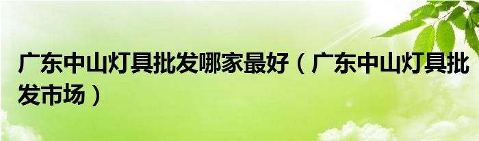 广东中山灯具批发哪家最好（广东中山灯具批发市场）