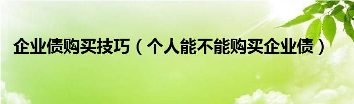 企业债购买技巧（个人能不能购买企业债）