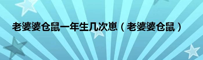 老婆婆仓鼠一年生几次崽（老婆婆仓鼠）