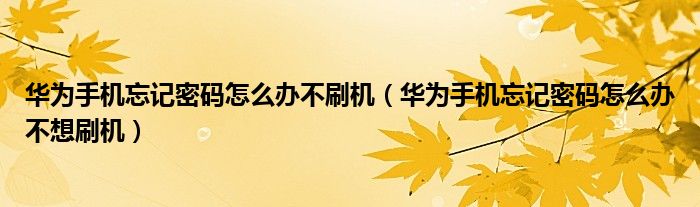 华为手机忘记密码怎么办不刷机（华为手机忘记密码怎么办不想刷机）