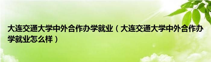 大连交通大学中外合作办学就业（大连交通大学中外合作办学就业怎么样）