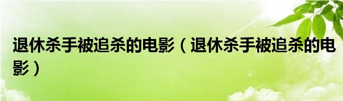 退休杀手被追杀的电影（退休杀手被追杀的电影）