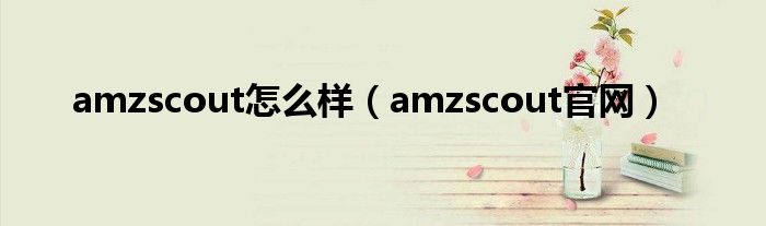 amzscout怎么样（amzscout官网）