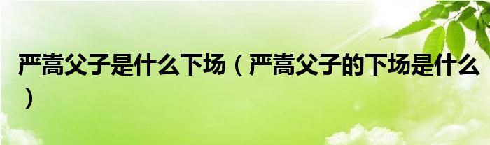 严嵩父子是什么下场（严嵩父子的下场是什么）