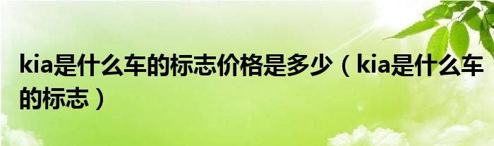 kia是什么车的标志价格是多少（kia是什么车的标志）