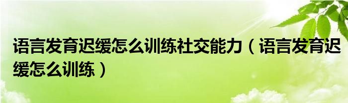 语言发育迟缓怎么训练社交能力（语言发育迟缓怎么训练）