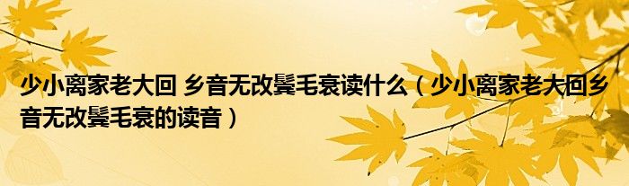 少小离家老大回 乡音无改鬓毛衰读什么（少小离家老大回乡音无改鬓毛衰的读音）