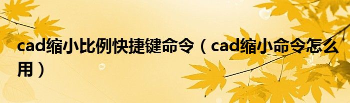 cad缩小比例快捷键命令（cad缩小命令怎么用）