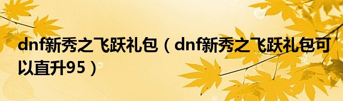 dnf新秀之飞跃礼包（dnf新秀之飞跃礼包可以直升95）