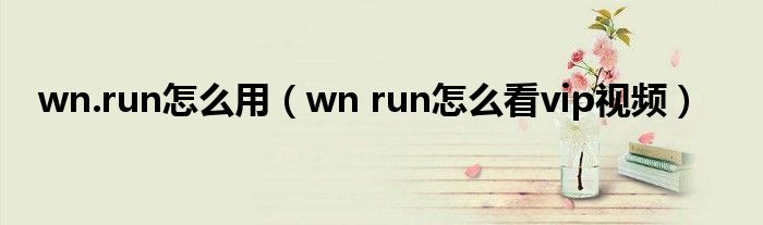 wn.run怎么用（wn run怎么看vip视频）