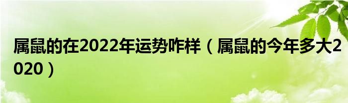 属鼠的在2022年运势咋样（属鼠的今年多大2020）