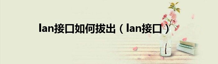 lan接口如何拔出（lan接口）