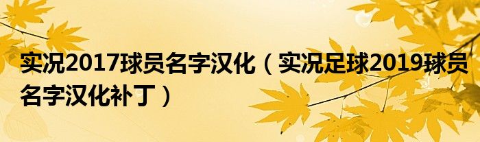 实况2017球员名字汉化（实况足球2019球员名字汉化补丁）