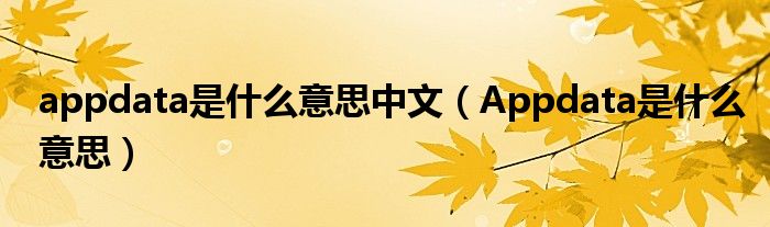 appdata是什么意思中文（Appdata是什么意思）