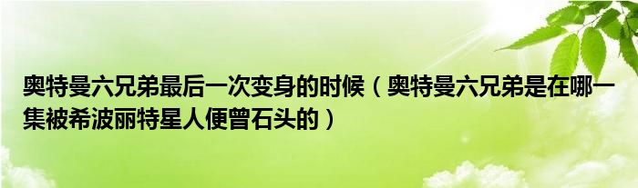 奥特曼六兄弟最后一次变身的时候（奥特曼六兄弟是在哪一集被希波丽特星人便曾石头的）