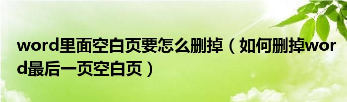 word里面空白页要怎么删掉（如何删掉word最后一页空白页）