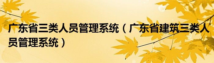 广东省三类人员管理系统（广东省建筑三类人员管理系统）