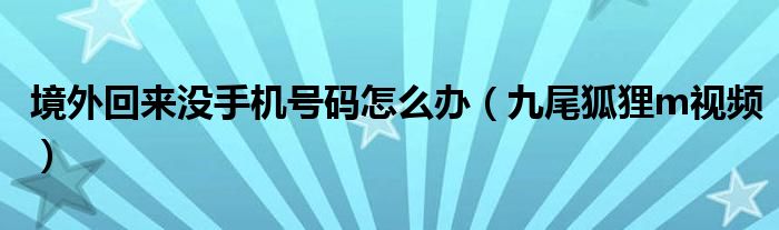 境外回来没手机号码怎么办（九尾狐狸m视频）