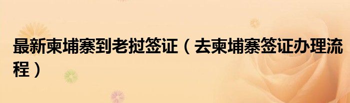 最新柬埔寨到老挝签证（去柬埔寨签证办理流程）