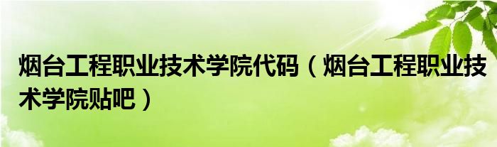 烟台工程职业技术学院代码（烟台工程职业技术学院贴吧）