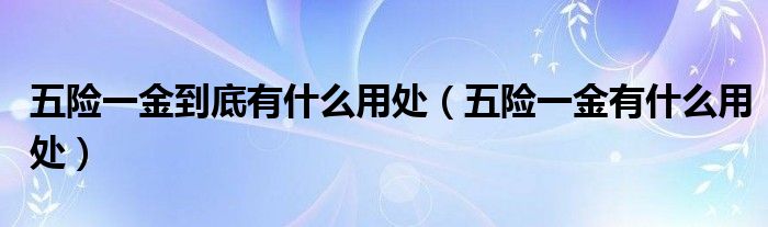 五险一金到底有什么用处（五险一金有什么用处）