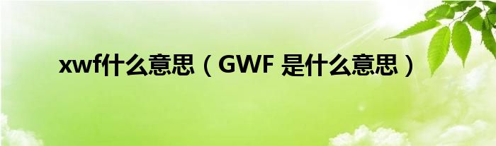 xwf什么意思（GWF 是什么意思）