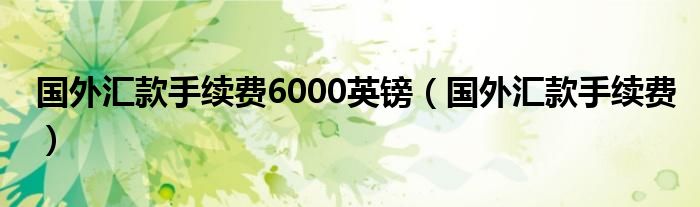 国外汇款手续费6000英镑（国外汇款手续费）