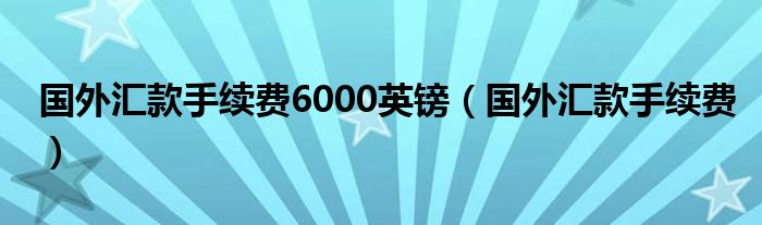 国外汇款手续费6000英镑（国外汇款手续费）