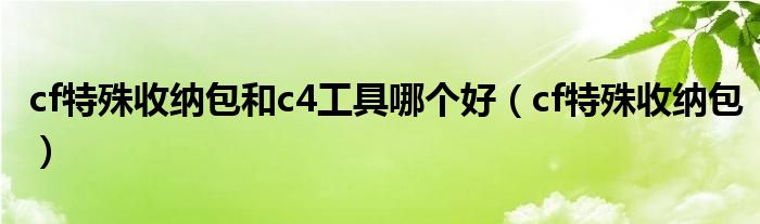 cf特殊收纳包和c4工具哪个好（cf特殊收纳包）