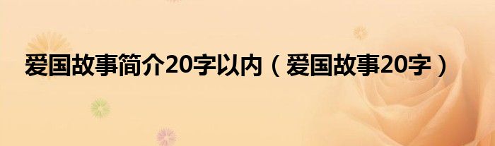 爱国故事简介20字以内（爱国故事20字）