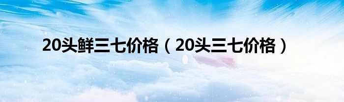 20头鲜三七价格（20头三七价格）