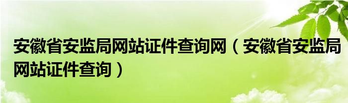 安徽省安监局网站证件查询网（安徽省安监局网站证件查询）